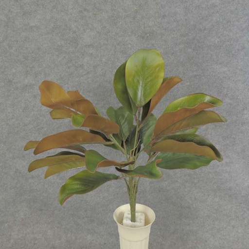 [SB6194] MAGNOLIA LEAF BUSH 18.5"