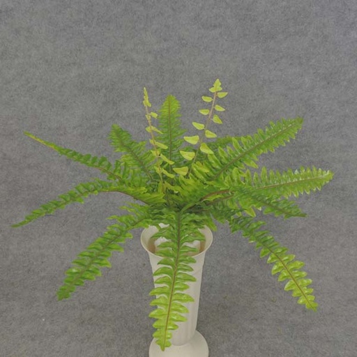[SB6199] BOSTON FERN BUSH 13" X14 SILK