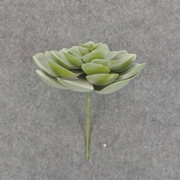 [SB6305-DGN] SUCCULENT HEN&amp;CHICK 4&quot;dia  DUSTY GREEN