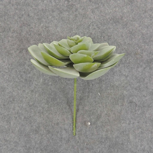 [SB6305-DGN] SUCCULENT HEN&CHICK 4"dia  DUSTY GREEN