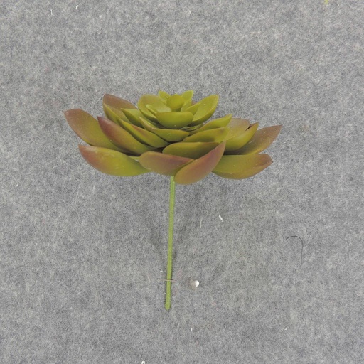 [SB6305-GRN] SUCCULENT HEN&CHICK 4"dia  GREEN
