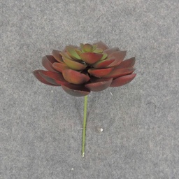 [SB6305-RGN] SUCCULENT HEN&amp;CHICK 4&quot;dia  RED/GREEN