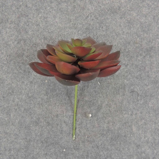 [SB6305-RGN] SUCCULENT HEN&CHICK 4"dia  RED/GREEN