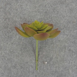 [SB6306-GRN] SUCCULENT HEN&amp;CHICK 3&quot;dia (6/BAG)   GREEN