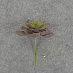 [SB6306-PGN] SUCCULENT HEN&amp;CHICK 3&quot;dia (6/BAG)   PURPLE/GREEN