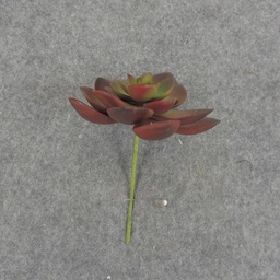 [SB6306-RGN] SUCCULENT HEN&amp;CHICK 3&quot;dia (6/BAG)   RED/GREEN