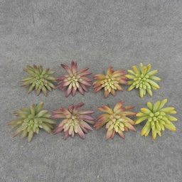 [SB6312] SUCCULENT PICK 3.5&quot; (8/BAG) 4-ASST