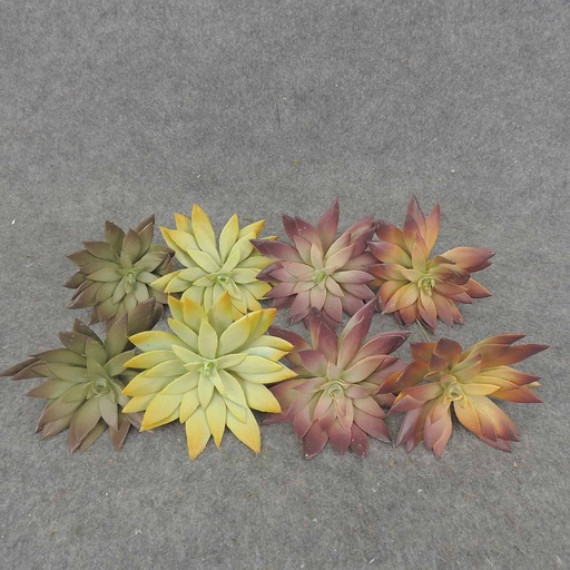 [SB6313] SUCCULENT PICK 4" (8/BAG)  4-ASST 4"dia