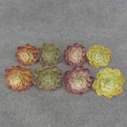 [SB6314] SUCCULENT PICK 3.5&quot; 8/BAG 4&quot;d 4-ASST HEN/CHICK