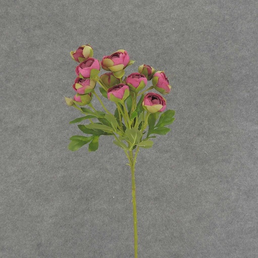[SB6321-BGN] RANUNCULUS MINI SPRAY X10 22"  BURGUNDY/GREEN