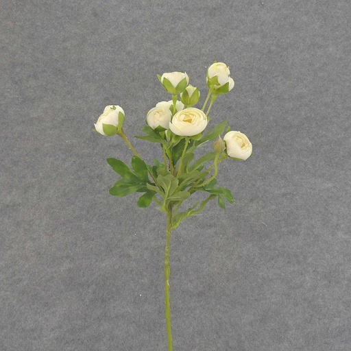 [SB6321-CRW] RANUNCULUS MINI SPRAY X10 22"  CREAM/WHITE