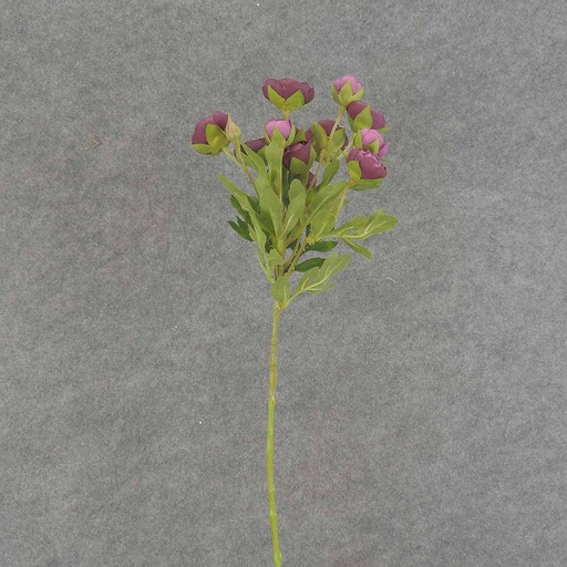 [SB6321-PUR] RANUNCULUS MINI SPRAY X10 22"  PURPLE