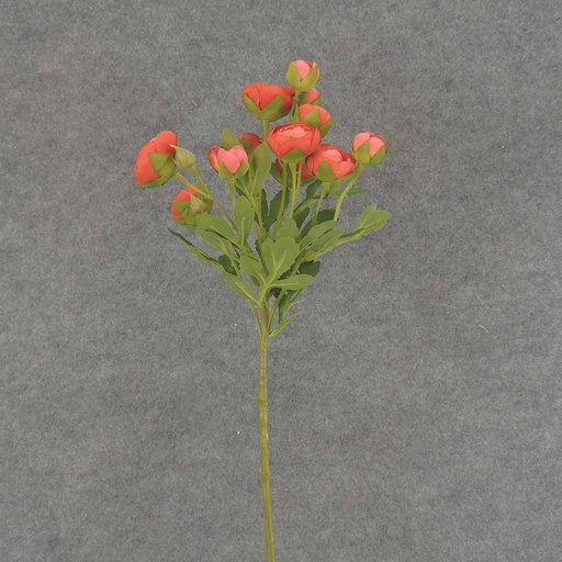 [SB6321-SAL] RANUNCULUS MINI SPRAY X10 22"  SALMON