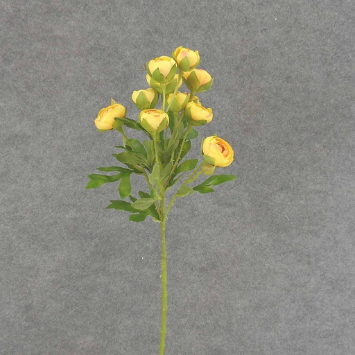 [SB6321-YEL] RANUNCULUS MINI SPRAY X10 22"  YELLOW