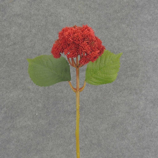 [SB6323-RED] SEDUM STEM 15"  RED