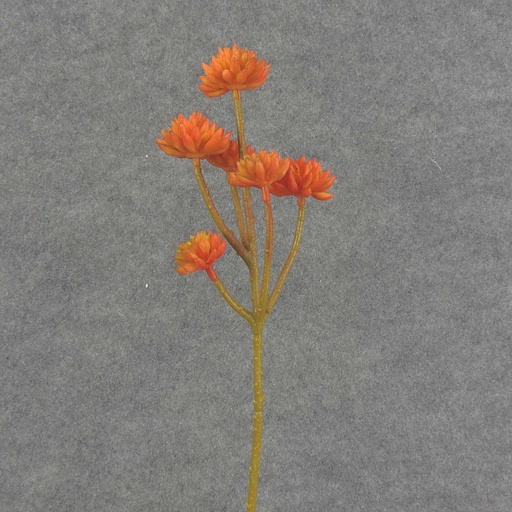 [SB6326-ORG] SUCCULENT PICK X6 12.5" 6/BAG  ORANGE