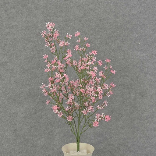 [SB7001-CPK] STARFLOWER BUSH 21" X5 PLASTIC  CREAM/PINK