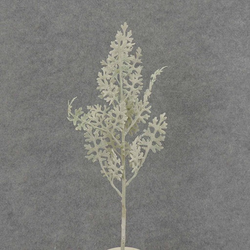 [SB7030] DUSTY MILLER PICK X7 17" FLOCKED