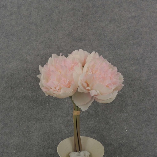 [SB8007-CPK] PEONY BUNDLE 10" X5 3"dia  CREAM/PINK