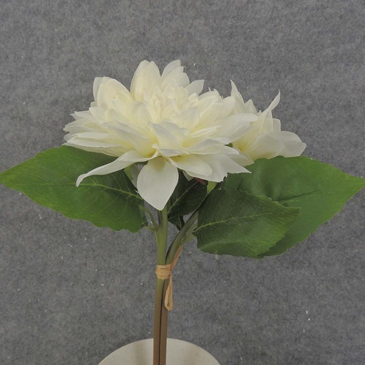 [SB8008-CWT] DAHLIA BUNDLE X3 11" 4"dia  CREAM/WHITE