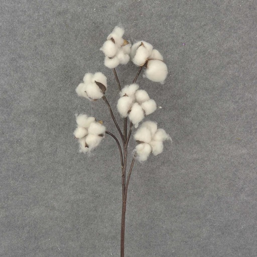 [SB8013] COTTON SPRAY 30"