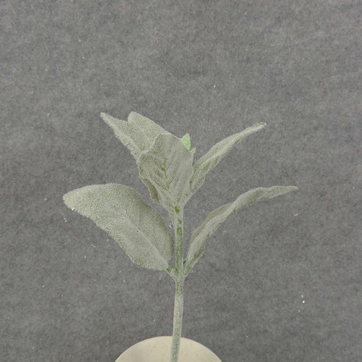 [SB8021-GRN] LAMBS EAR PICK 11" FLOCKED  GREEN