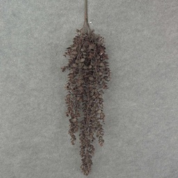 [SB8041] EUCALYPTUS HANGING BUSH 32" X5