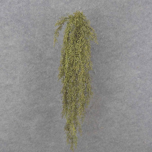 [SB9004] HANGING SEDUM VINE 36" GREEN 