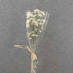 [SB9013-WHT] CARNATION BUNDLE 27&quot; (3/BDL) WHITE