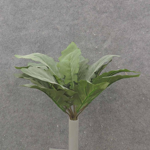 [SB9017] SALVIA LEAF BUSH X15 DUST GREEN 