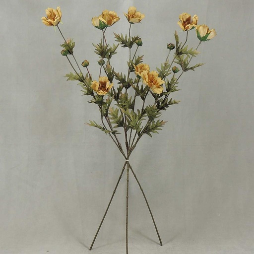 [SBF4049-GRN] COSMOS SPRAY X3 (3/BUNDLE) 33"  GREEN