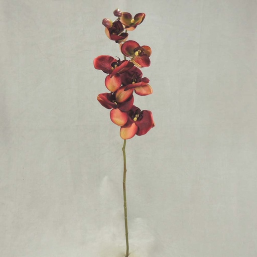 [SBF348-BUR] PHALAENOPSIS X9 32"  BURGUNDY