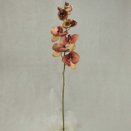 [SBF348-DKM] PHALAENOPSIS X9 32&quot;  DK. MAUVE