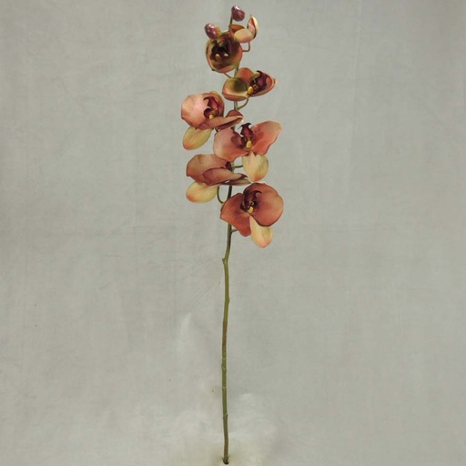 [SBF348-DKM] PHALAENOPSIS X9 32"  DK. MAUVE