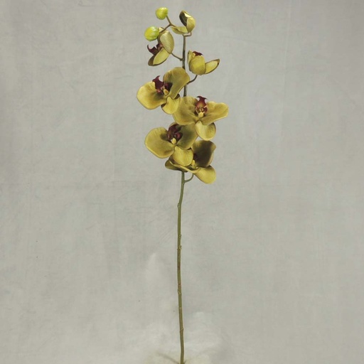 [SBF348-GRN] PHALAENOPSIS X9 32"    GREEN