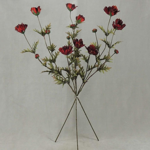 [SBF4049-RED] COSMOS SPRAY X3 (3/BUNDLE) 33"  RED
