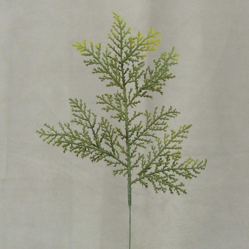 [SBF4033] CEDAR PICK X1 11" GREEN (12/BG)