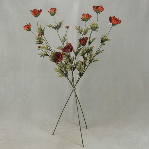 [SBF4049-RUS] COSMOS SPRAY X3 (3/BUNDLE) 33"  RUST
