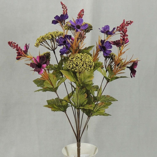 [SBF4077-PUR] COSMOS/QUEEN ANN LACE BUSH X11