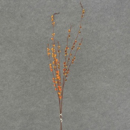[SBF4097-AST] BITTERSWEET BERRY SPRAY X4 34&quot; (6/BNDL) 2-ASST'D