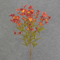 [SBF6035-FLM] TWEEDIA BUSH X10 21"