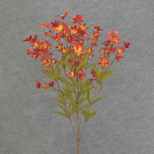 [SBF6035-FLM] TWEEDIA BUSH X10 21"