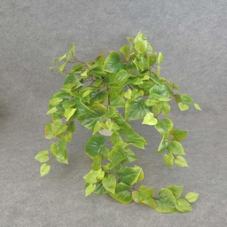 [SBF5099-GRN] POTATO LEAF H. BUSH X9 W/160 LV  GREEN