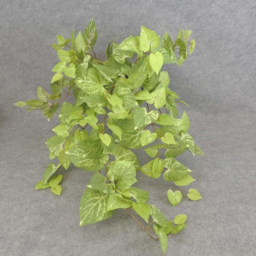 [SBF5099-LGN] POTATO LEAF H. BUSH X9 W/160 LV  LIGHT GREEN