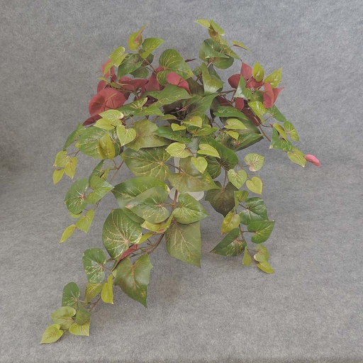 [SBF5099-RGN] POTATO LEAF H. BUSH X9 W/160 LV  RED/GREEN