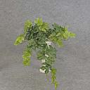 [SBF5105] GRAPE LEAF (REAL TOUCH) H. BUSH X8 W/66 LVS