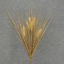 [SBF6006] WHEAT/GRASS BUSH X10 25"