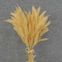 [SBF6008] WHEAT BUNDLE X14 16" PLASTIC   