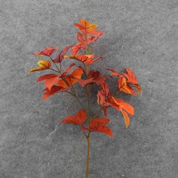 [SBF8001] MAPLE LEAF SPRAY X3 AUTUMN