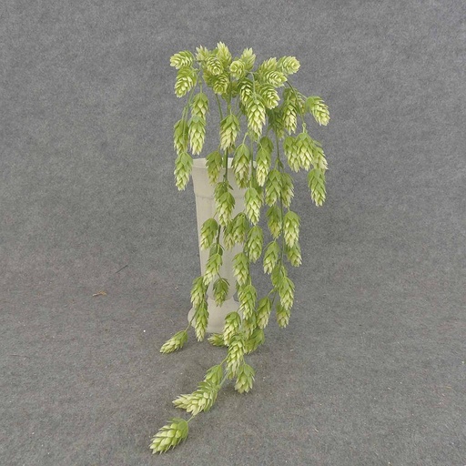 [SBF6086-CGN] HOPS HANGING BUSH X5 31"  CREAM/GREEN